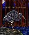 Louisiana Heron