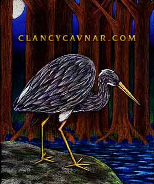 Louisiana Night Heron