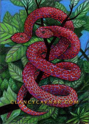 Twin Snakes