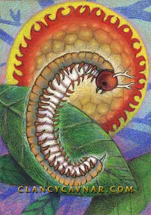 Creation