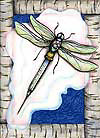 Needlefly