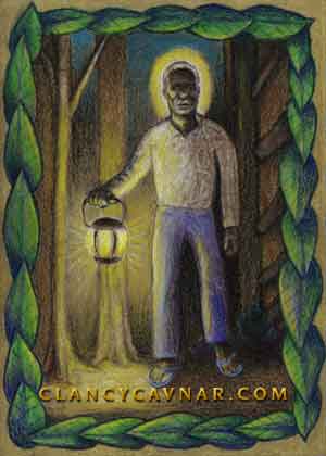 A Light in the Forest 