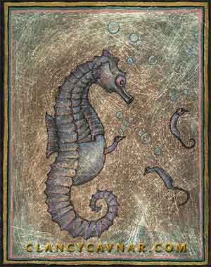 Male Seahorse