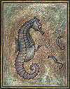 Male Seahorse