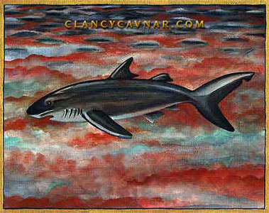 Shark