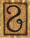 Dry Desert Snake