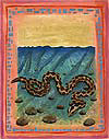 Desert Mountain Snake