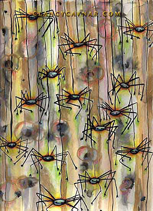 Spiders