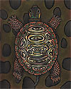 Brown Turtle