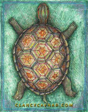 Green Turtle