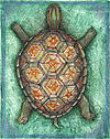 Green Turtle